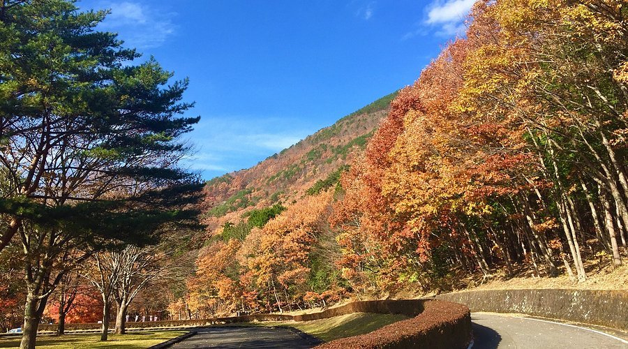 🏞️ 하코노모리 플레이 파크 이미지 1